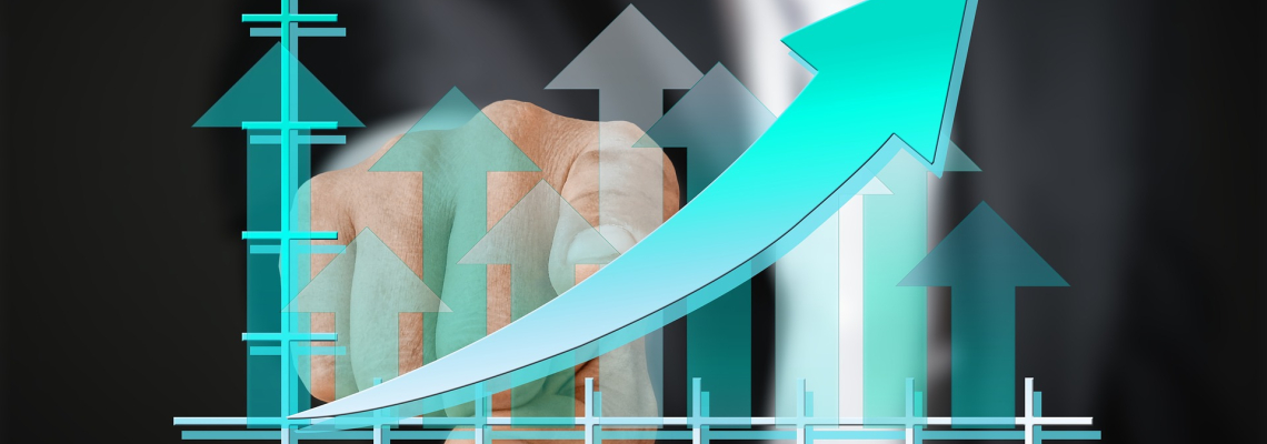 risk, management, finance, money, pari, menidjmunt, upravlenie, риск, мениджмънт, управление, финанси, счетоводство, курс